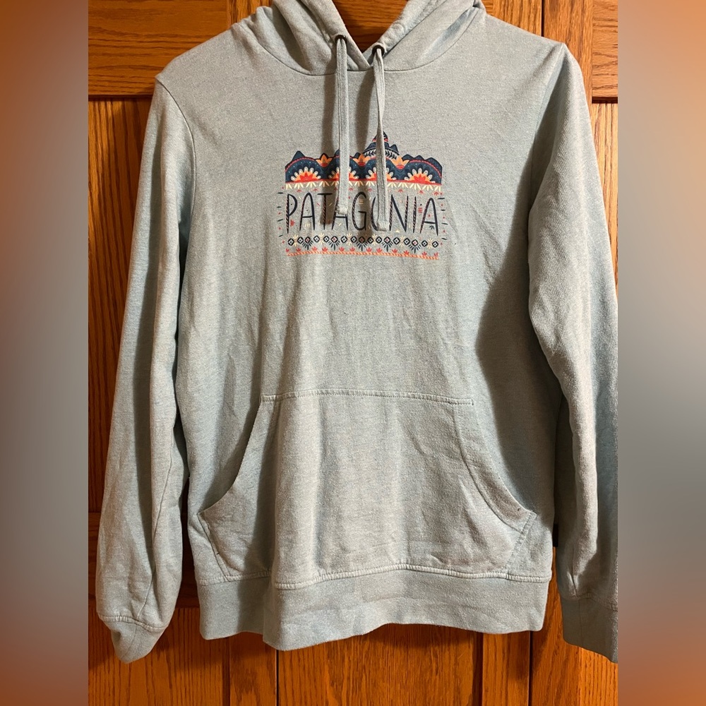 Patagonia Hooded Sweatshirt